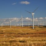 5 Risks in PPAs and How To Mitigate Them